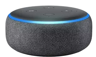 Alexa device